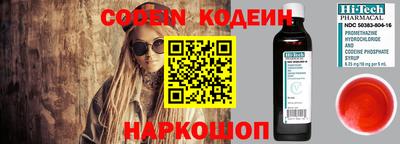 крисы Моздок