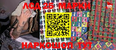 индика Можга