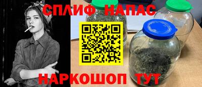 индика Можга