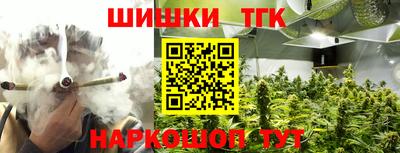 индика Можга