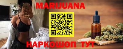 крисы Моздок