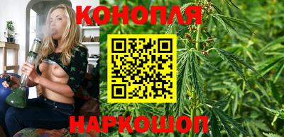 индика Можга