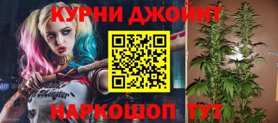 крисы Моздок
