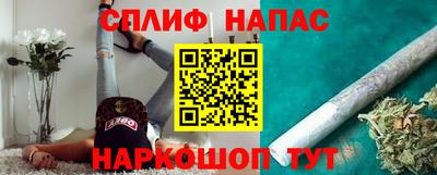 индика Можга