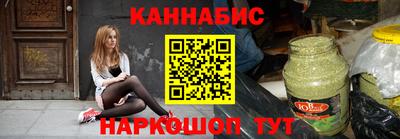 индика Можга