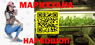 индика Можга