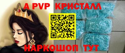 индика Можга