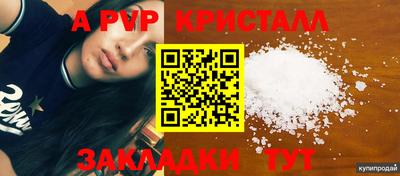 индика Можга