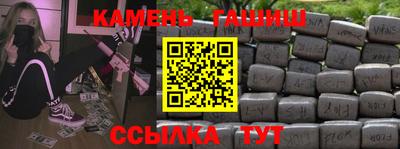 крисы Моздок