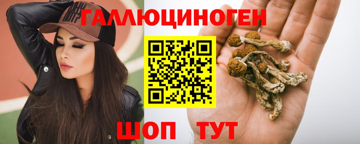 Галлюциногенные грибы GOLDEN TEACHER Ступино